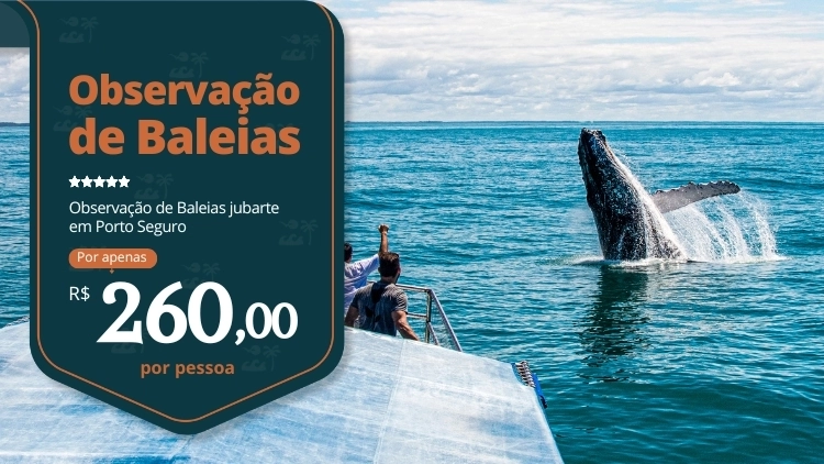 Observa&ccedil;&atilde;o das Baleias Jubarte 
